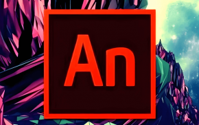 Animate的安装程序