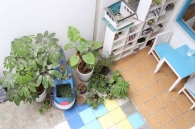 ָָվ㵽ָվĹ̶ƱҪгзǳϸϸµİա