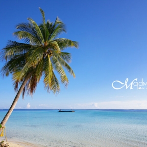 ҾͲظ˵ˣȤͷԼӼӷ